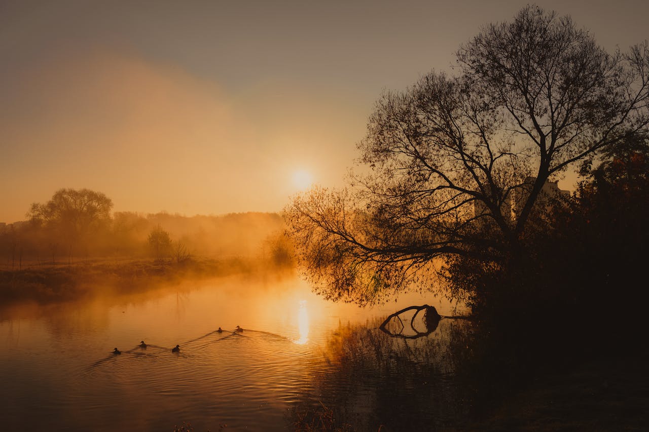 Peaceful autumn sunrise with mist over a tranquil river and silhouettes.