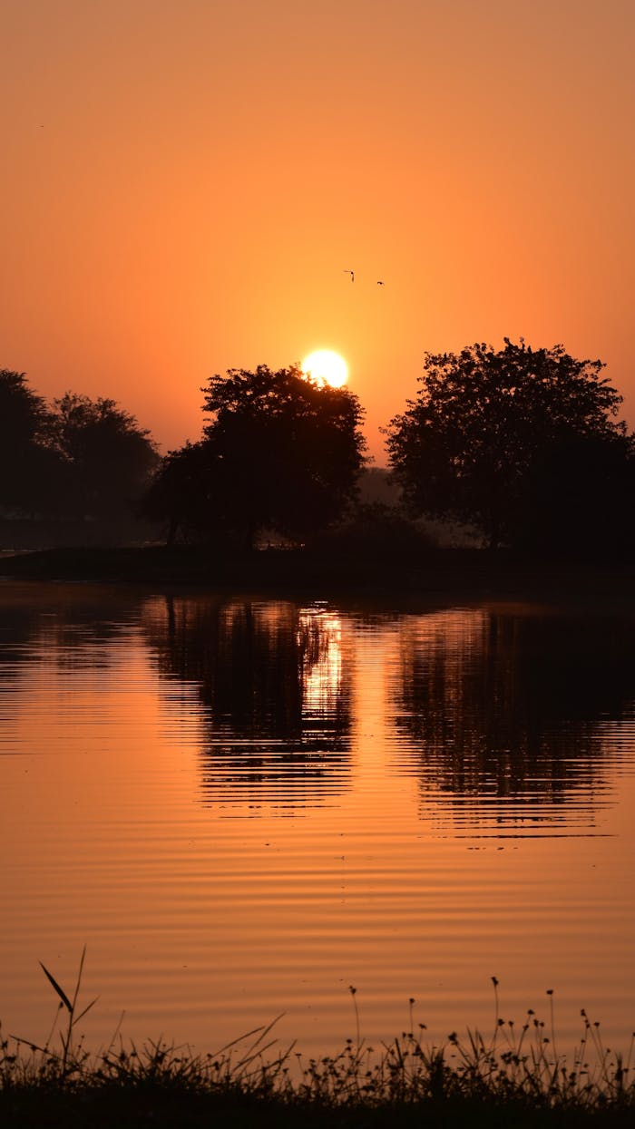 A tranquil sunrise scene with trees reflecting in a still lake, capturing natural beauty and serenity.